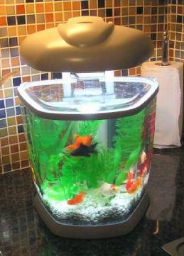 aqua-design-star-aquarium-fish-tank.jpg