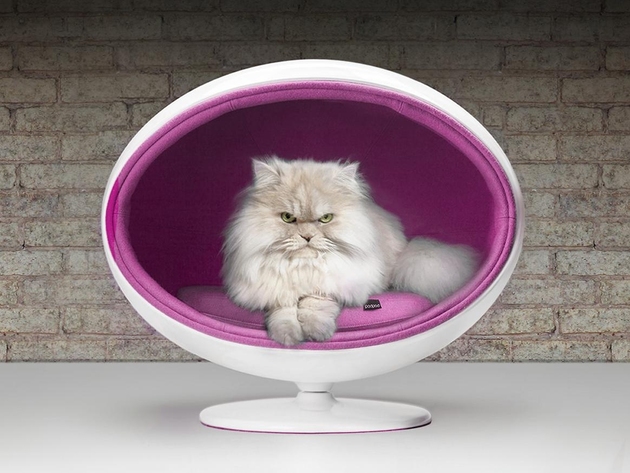 19a-chic-cosy-cat-beds-modern-homes.jpg