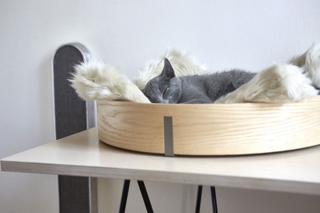 3-chic-cosy-cat-beds-modern-homes.jpg