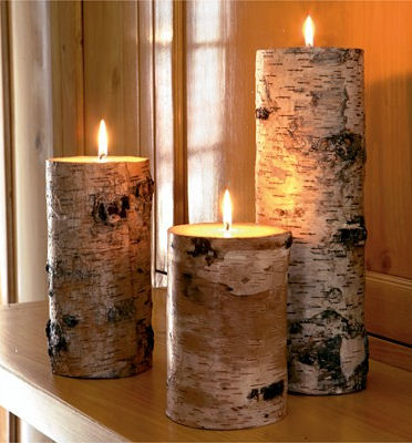 Birch Candles – Pillar Candle at Crate & Barrel – a genuine birch bark
