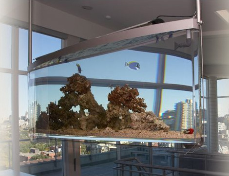 Ceiling Mounted Aquarium by Aquarium ASP – the Contemporary Spacearium