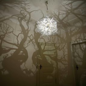 Chandelier Creates a Forest of Tree Shadows