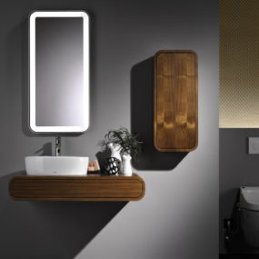 Contemporary Dark Walnut Bathroom Furniture by Toto