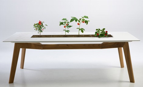 Outdoor Table Rosis from Escho lets you cultivate flowers and plants