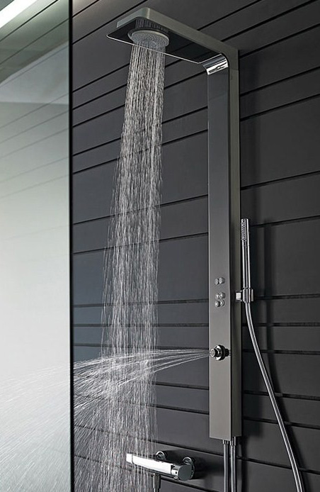 hansa perfect shower smart 1 Perfect Shower by Hansa   Smart shower