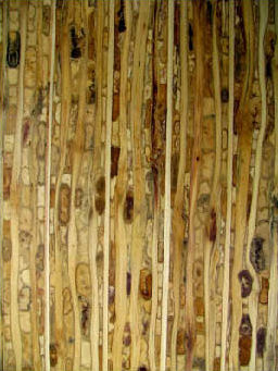 Kirei reclaimed agricultural fiber board by Kirei – Green material, organic contemporary design