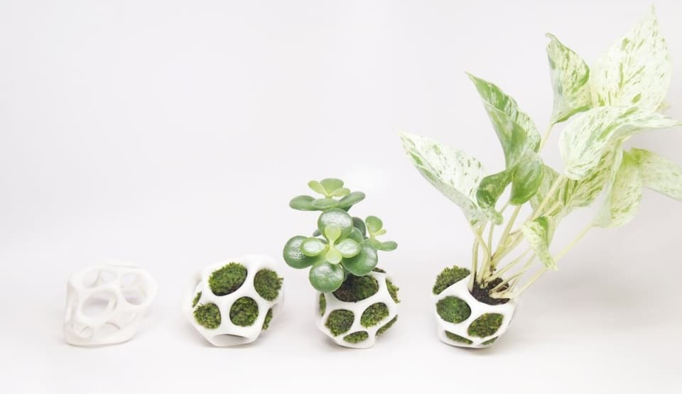 modular-moss-planter-kickstarter-project-cella-by-ecoid-15.jpg