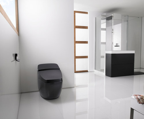 toilet lumen avant boca 2 Sleek Toilet by Roca is also hi tech