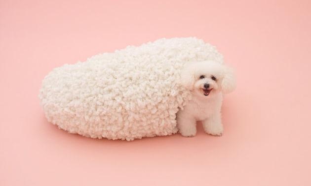 23-dog-beds-you-your-dog-love.jpg