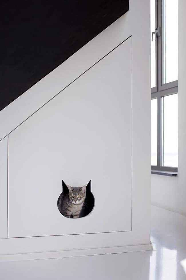 water-tower-converted-private-residence-15-cat-hole.jpg