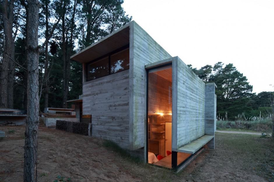 concrete steel home tucked pine forest 13 exterior