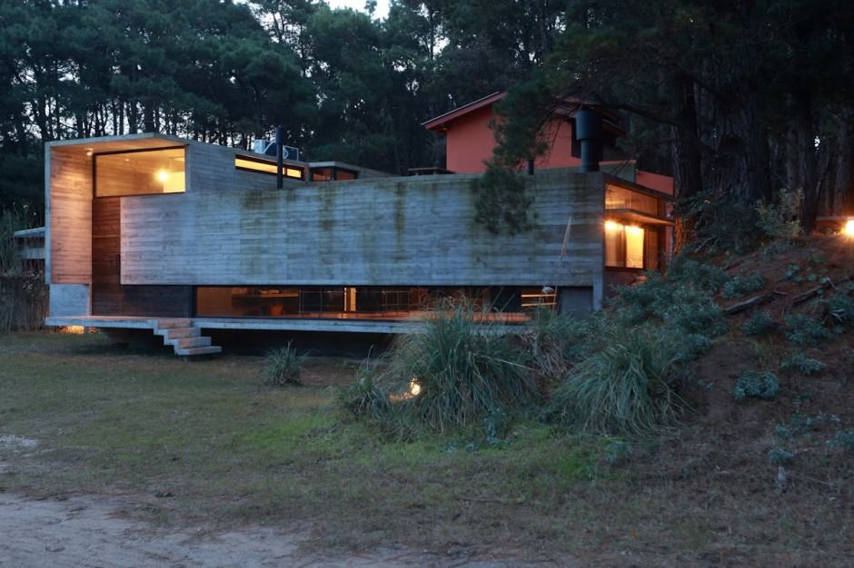 concrete steel home tucked pine forest 2 frontyard