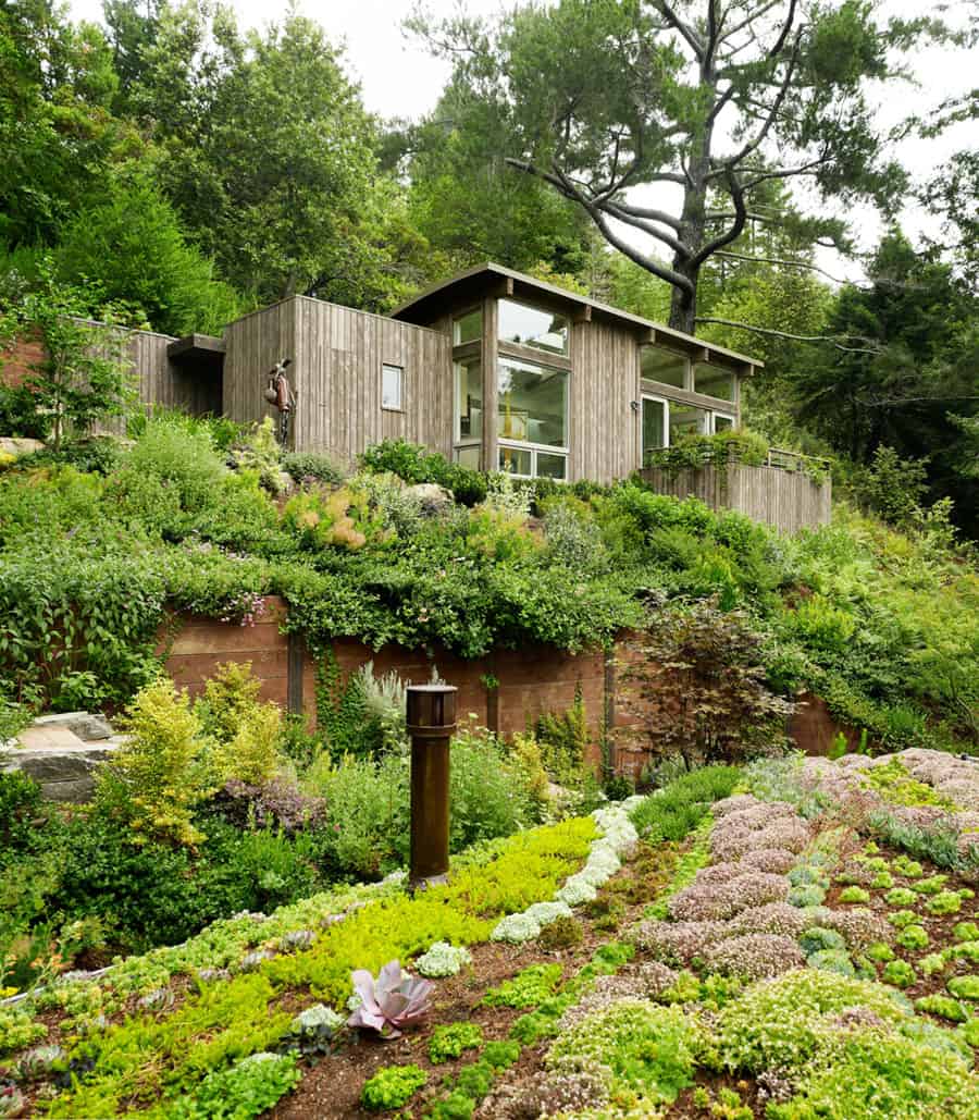 Artist Studio overlooks Guest Cabin with Rooftop Garden
