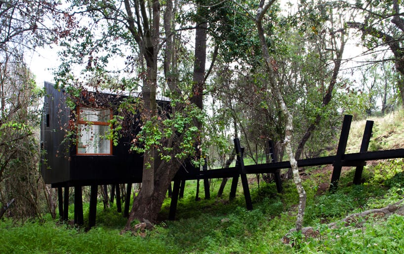 elevated-walkway-punctured-trees-forest-cabin-3-site.jpg
