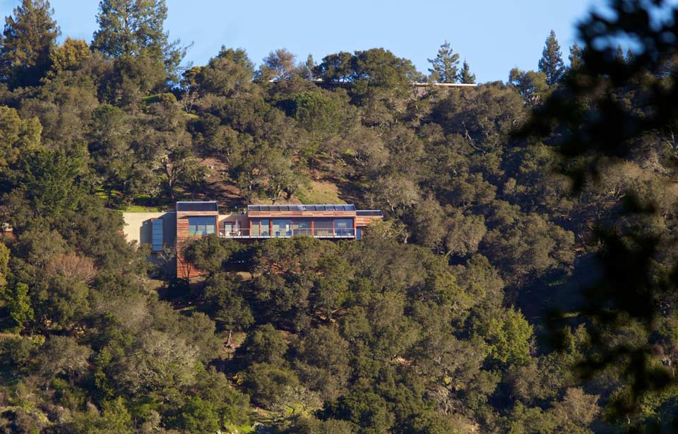 slope-house-living-roof-merges-hillside-2-site.jpg