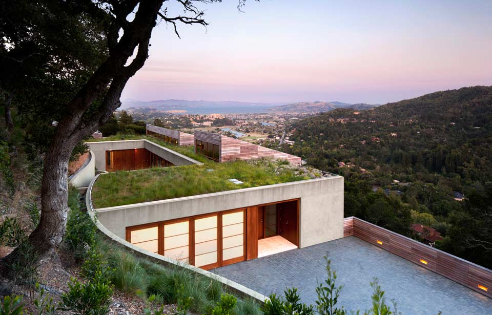 slope-house-living-roof-merges-hillside-3-living-roof.jpg