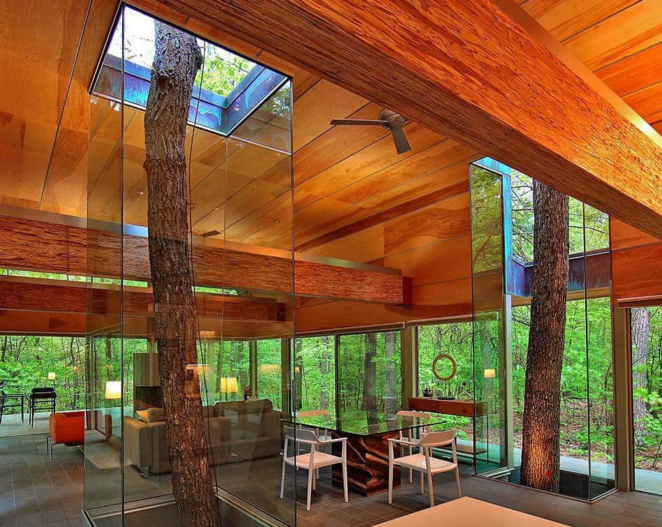 8 trees encased glass continue grow through house