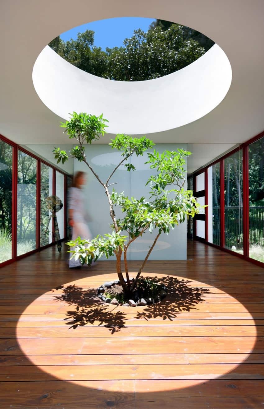 3a homes built existing trees 10 creative examples