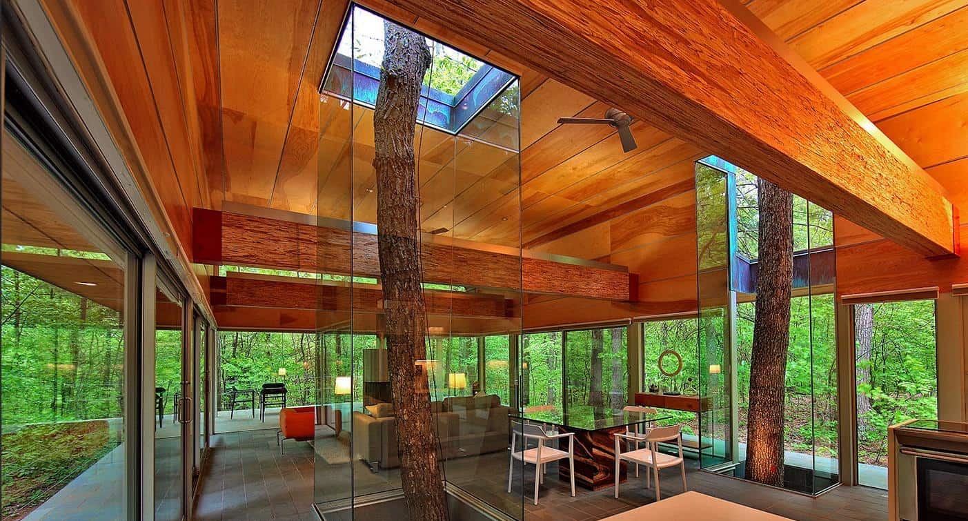 4a homes built existing trees 10 creative examples