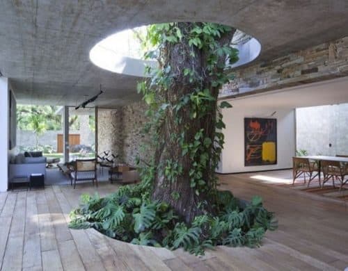 Homes Built Around Trees: 13 Creative Examples