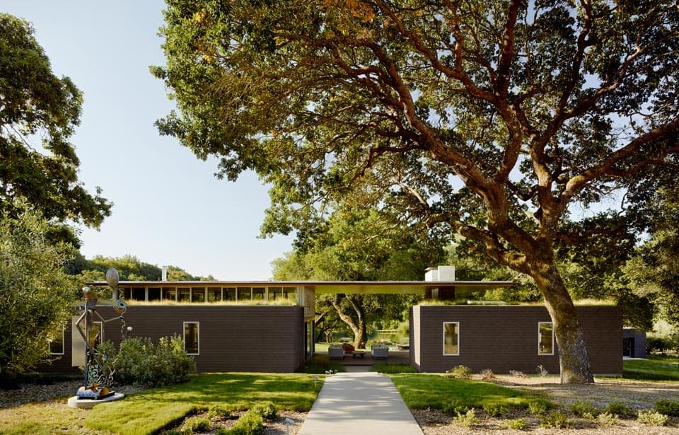 1-mature-oaks-living-roofs-contribute-passive-energy-home.jpg
