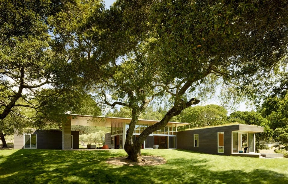 2 mature oaks living roofs contribute passive energy home