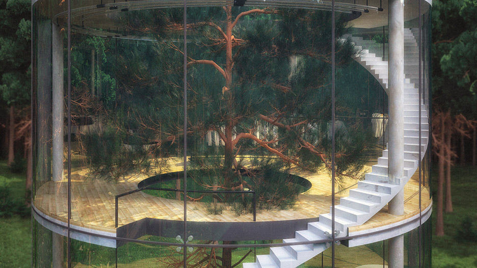 tubular glass house built around tree 4