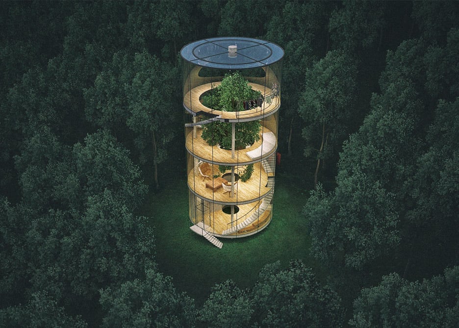 tubular glass house built around tree 7