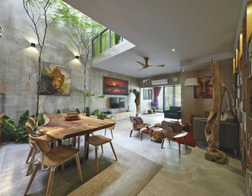 Trees and Shrubs create Faux Courtyard Inside House