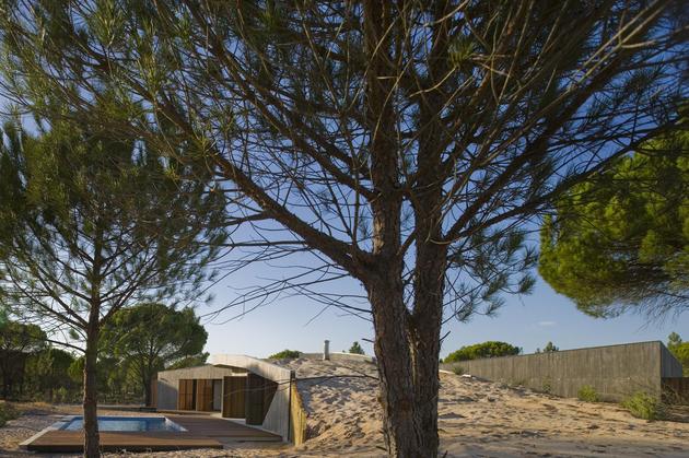 concrete-house-buried-under-artificial-sand-dunes-5-trees-pool.jpg