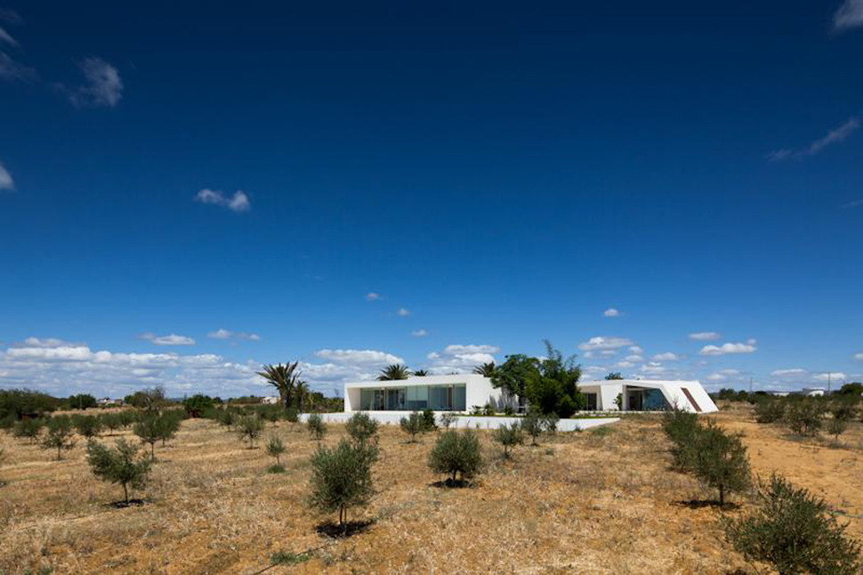 minimalist-white-house-with-glass-walkway-in-olive-grove-2.jpg