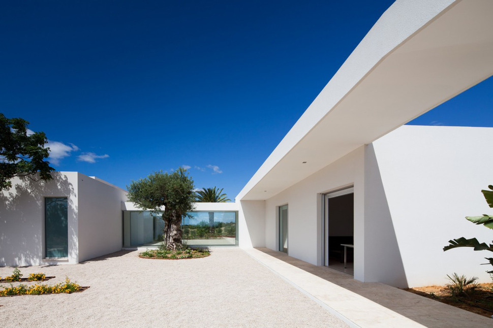 minimalist-white-house-with-glass-walkway-in-olive-grove-4.jpg