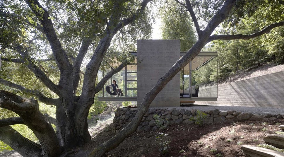 3-tea-houses-built-preserve-live-oak-root-systems-1-oaktree.jpg