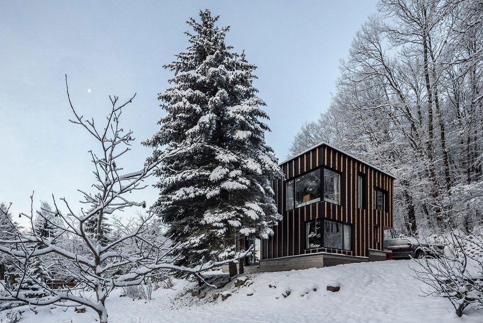 timber-cabin-built-two-days-7-windows.jpg