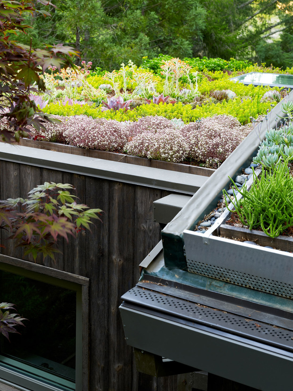 artist-studio-overlooks-guest-cabin-rooftop-garden-7-roof-garden.jpg