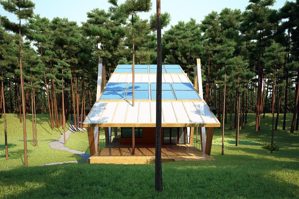energy-efficient-grasshopper-shaped-house-5.jpg