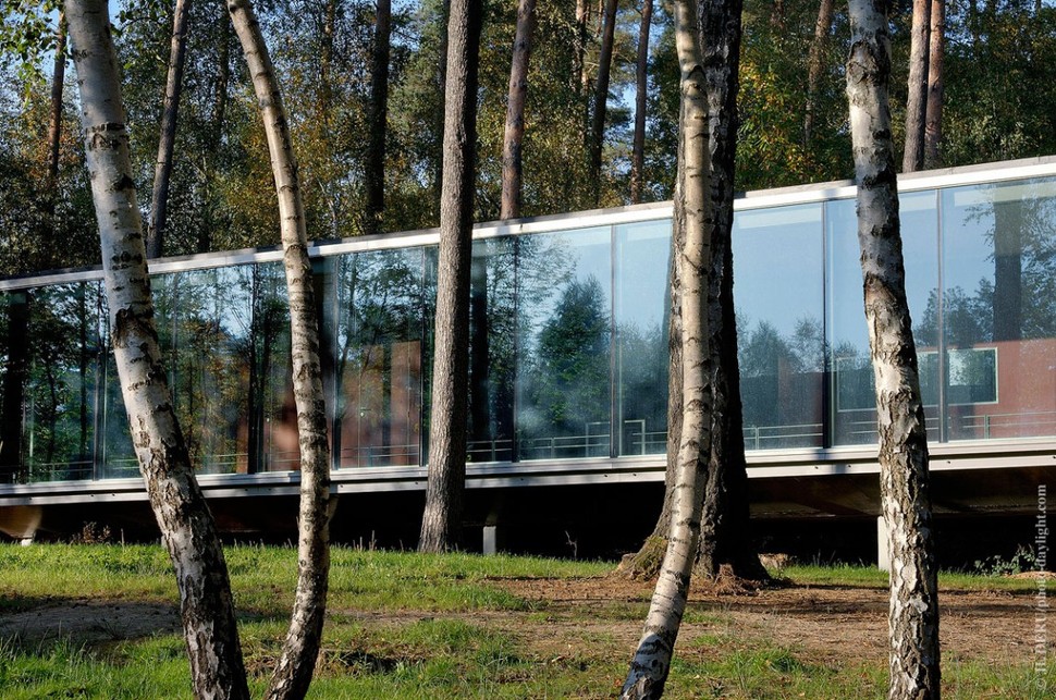 glass-pavilion-mirroring-secular-pine-tree-forest-1.jpg