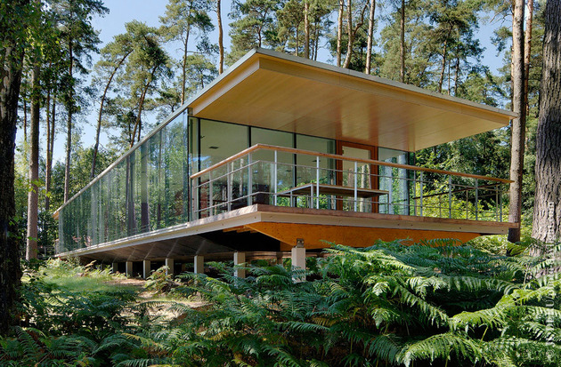 glass-pavilion-mirroring-secular-pine-tree-forest-3.jpg