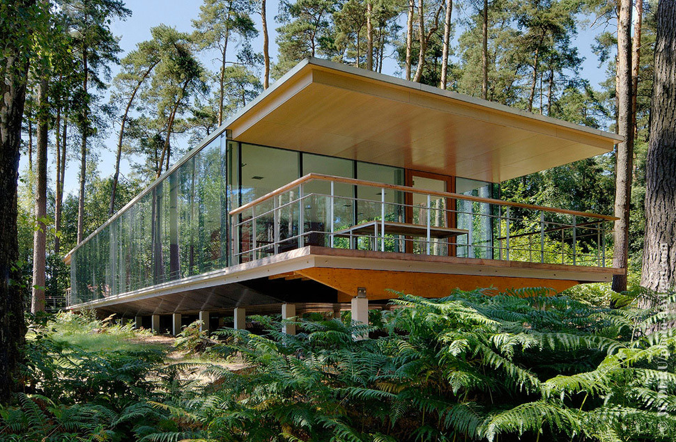 See Though Glass Box House Has Best Views Of The Forest