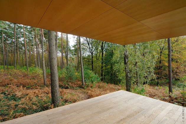 glass-pavilion-mirroring-secular-pine-tree-forest-6.jpg