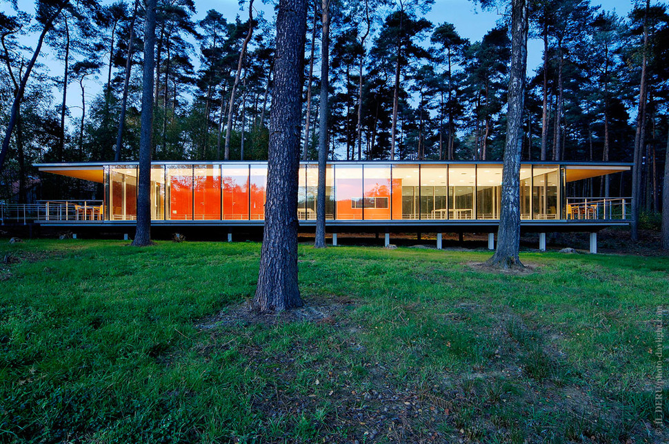 glass-pavilion-mirroring-secular-pine-tree-forest-9.jpg