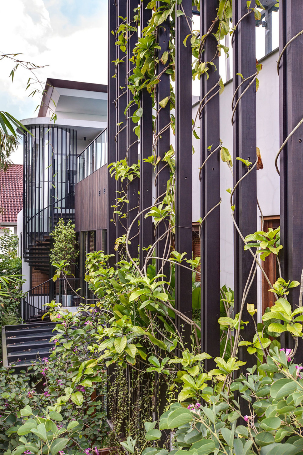 lush-gardens-peekaboo-roof-pool-define-contemporary-home-15-stairs.jpg