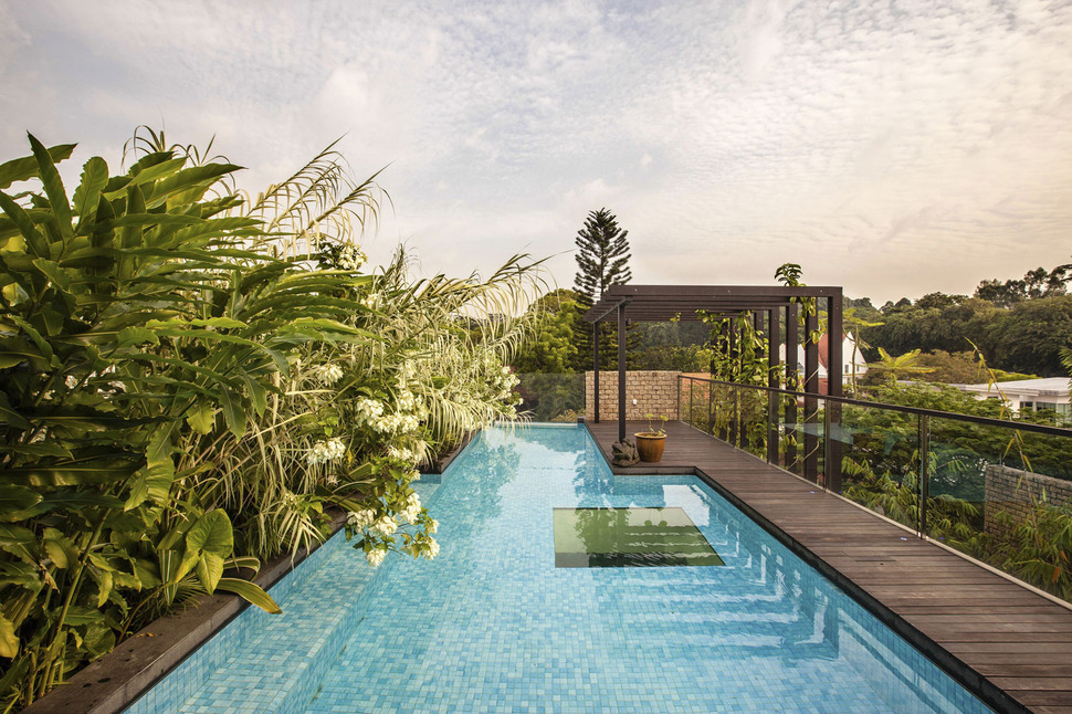 lush-gardens-peekaboo-roof-pool-define-contemporary-home-9-pool.jpg