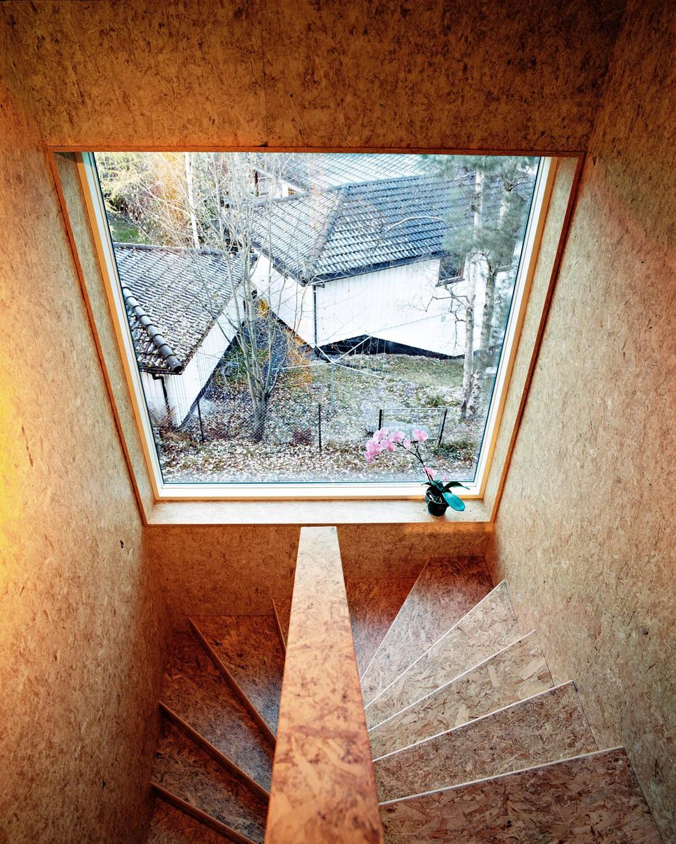 3-level-triangular-house-entry-under-pointed-corner-7-stairwell.jpg
