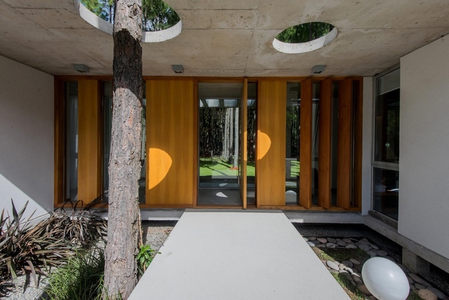 Homes Built Around Trees: 13 Creative Examples