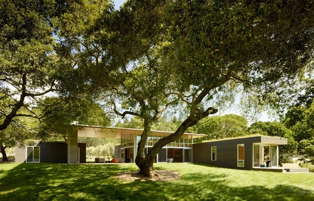 2 mature oaks living roofs contribute passive energy home thumb 630xauto 60755 Mature Oaks and Living Roof contribute to Passive Energy Home