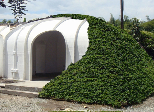 4-prefab-modular-homes-designed-covered-grass.jpg