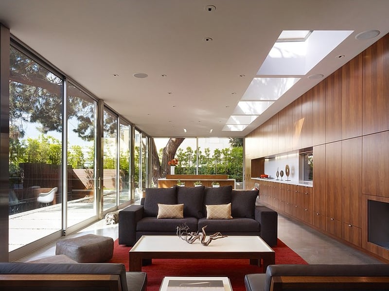 contemporary steel and glass house designed around massive tree 2