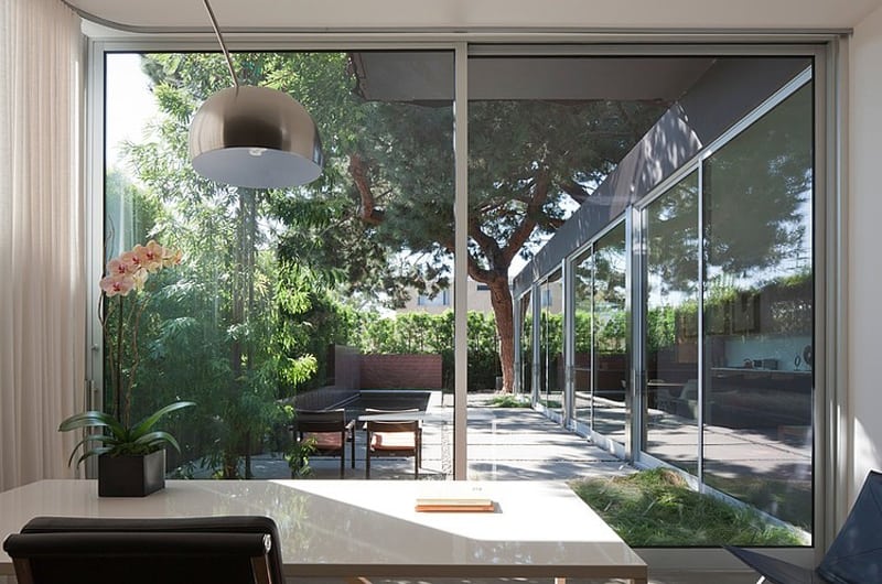contemporary steel and glass house designed around massive tree 6