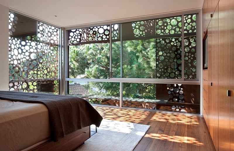 contemporary steel and glass house designed around massive tree 8